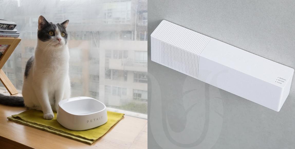 新冠肺炎掀起“宅家风”,宠物异味难去除!5 款除臭商品帮你维护居家环境,同时照顾毛孩们的健康 内容图2 女神网-大潮社TV实时追踪属于女人新资讯的综合网站! 01