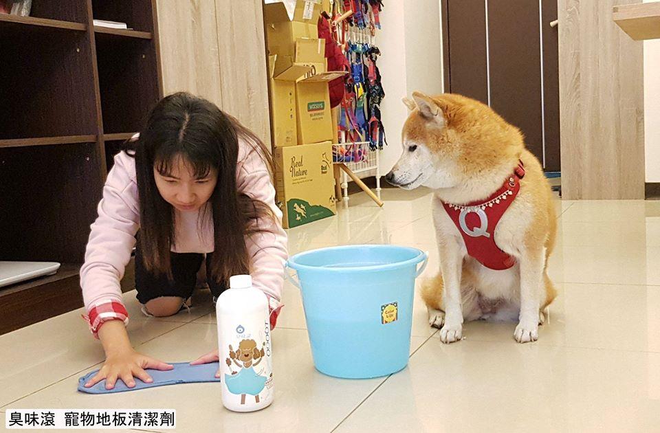 新冠肺炎掀起“宅家风”,宠物异味难去除!5 款除臭商品帮你维护居家环境,同时照顾毛孩们的健康 内容图3 女神网-大潮社TV实时追踪属于女人新资讯的综合网站! 02