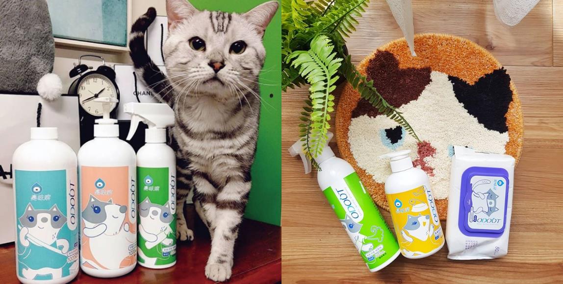 新冠肺炎掀起“宅家风”,宠物异味难去除!5 款除臭商品帮你维护居家环境,同时照顾毛孩们的健康 内容图4 女神网-大潮社TV实时追踪属于女人新资讯的综合网站! 03