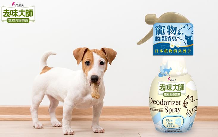 新冠肺炎掀起“宅家风”,宠物异味难去除!5 款除臭商品帮你维护居家环境,同时照顾毛孩们的健康 内容图5 女神网-大潮社TV实时追踪属于女人新资讯的综合网站! 04