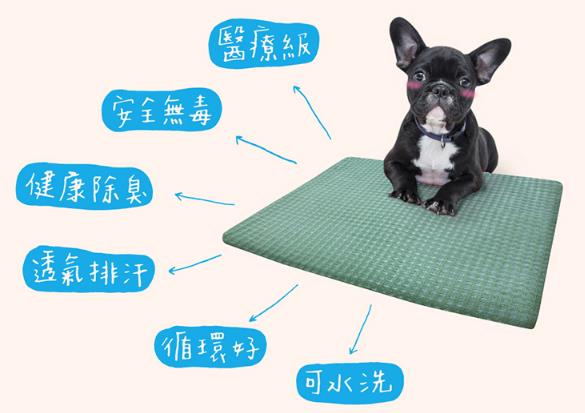 新冠肺炎掀起“宅家风”,宠物异味难去除!5 款除臭商品帮你维护居家环境,同时照顾毛孩们的健康 内容图7 女神网-大潮社TV实时追踪属于女人新资讯的综合网站! 06