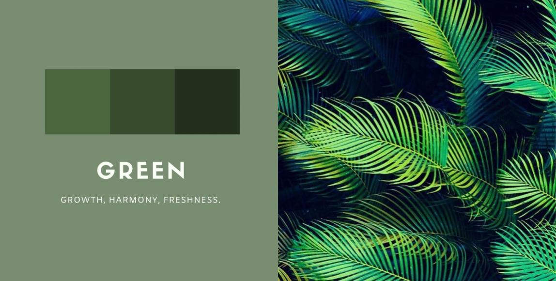 从 Instagram 看出专属的代表色:颜色透露个人性格,以及藏在心里的特质 内容图3 女神网-大潮社TV实时追踪属于女人新资讯的综合网站! 02