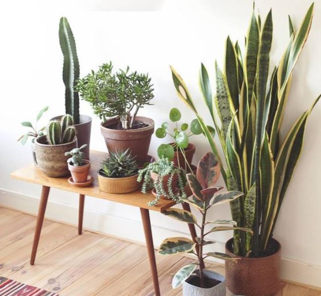 何谓奶奶青年?坚持准时下班、懒得更新社群贴文,这 6 大特征检测你是否为其中一员! 内容图3 女神网-大潮社TV实时追踪属于女人新资讯的综合网站! FotoJet - 2020-01-13T141826.894