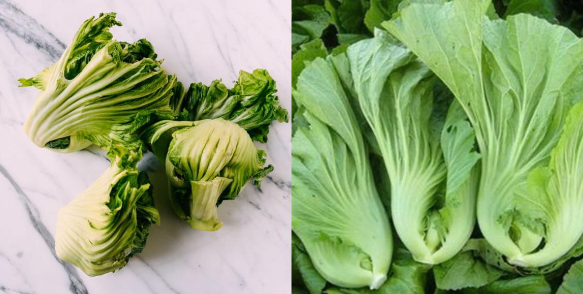 过年为什么要吃萝卜糕、开心果?7 种年节必备食物、料理介绍,“吃好吃满”讨一个吉利的新年! 内容图3 女神网-大潮社TV实时追踪属于女人新资讯的综合网站! 过年为什么要吃萝卜糕、开心果?7 种年节必备食物、料理介绍,“吃好吃满”讨一个吉利的新年! 家庭学堂 图3张