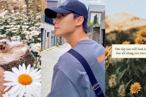 手机桌布隐藏潜在性格：把情人设成背景图片是专情、桌面是宠物则代表讲义气？