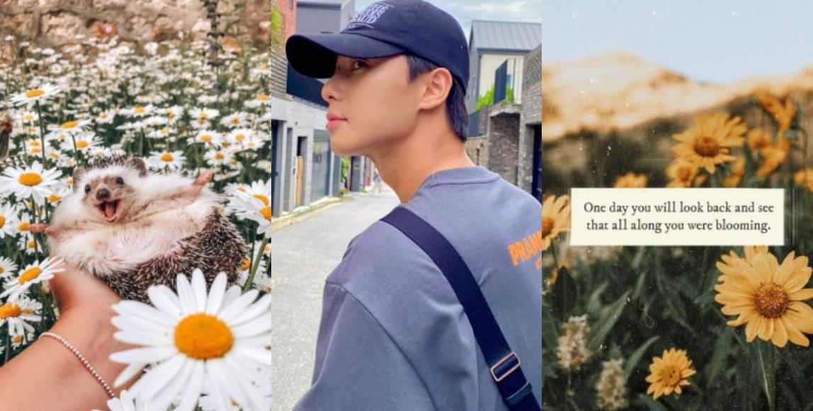 手机桌布隐藏潜在性格:把情人设成背景图片是专情、桌面是宠物则代表讲义气? 内容图1 女神网-大潮社TV实时追踪属于女人新资讯的综合网站! 手机桌布隐藏潜在性格:把情人设成背景图片是专情、桌面是宠物则代表讲义气? 家庭学堂 图1张