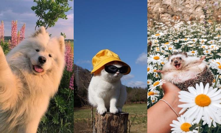 手机桌布隐藏潜在性格:把情人设成背景图片是专情、桌面是宠物则代表讲义气? 内容图8 女神网-大潮社TV实时追踪属于女人新资讯的综合网站! 手机桌布隐藏潜在性格:把情人设成背景图片是专情、桌面是宠物则代表讲义气? 家庭学堂 图8张