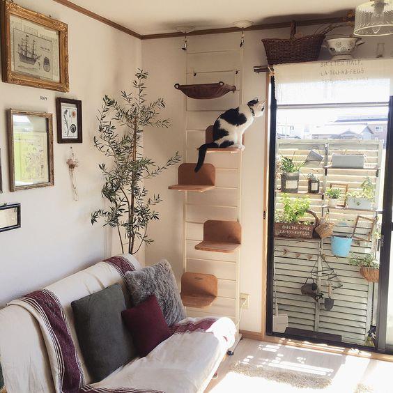 与毛孩宅一起!养宠物前要注意这 4 点,将居家环境打造为适合与毛孩共处的空间 内容图2 女神网-大潮社TV实时追踪属于女人新资讯的综合网站! 与毛孩宅一起!养宠物前要注意这 4 点,将居家环境打造为适合与毛孩共处的空间 家庭学堂 图2张