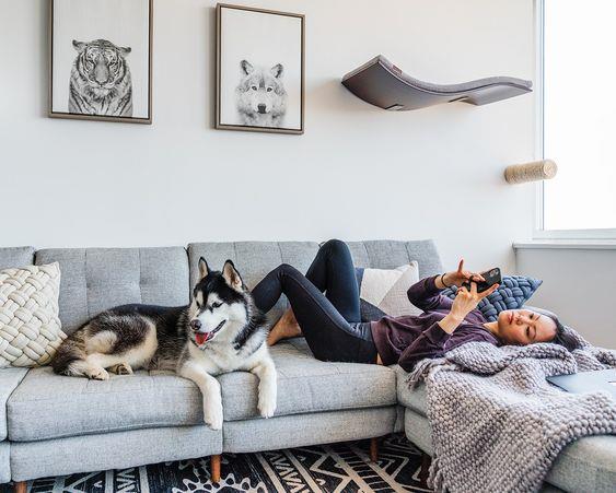 与毛孩宅一起!养宠物前要注意这 4 点,将居家环境打造为适合与毛孩共处的空间 内容图5 女神网-大潮社TV实时追踪属于女人新资讯的综合网站! 与毛孩宅一起!养宠物前要注意这 4 点,将居家环境打造为适合与毛孩共处的空间 家庭学堂 图5张