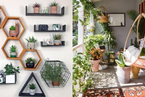 植物摆放有学问！选对植栽让居家空间活化，展现自然清新的亮眼生命力
