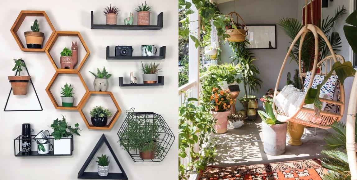 植物摆放有学问!选对植栽让居家空间活化,展现自然清新的亮眼生命力 内容图1 女神网-大潮社TV实时追踪属于女人新资讯的综合网站! 植物摆放有学问!选对植栽让居家空间活化,展现自然清新的亮眼生命力 家庭学堂 图1张