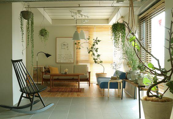 植物摆放有学问!选对植栽让居家空间活化,展现自然清新的亮眼生命力 内容图2 女神网-大潮社TV实时追踪属于女人新资讯的综合网站! 植物摆放有学问!选对植栽让居家空间活化,展现自然清新的亮眼生命力 家庭学堂 图2张