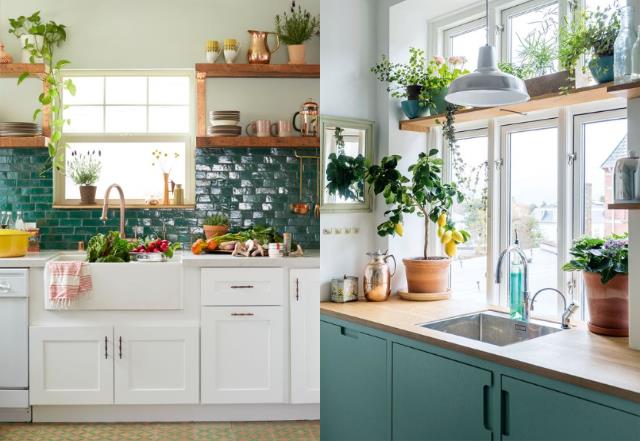 植物摆放有学问!选对植栽让居家空间活化,展现自然清新的亮眼生命力 内容图3 女神网-大潮社TV实时追踪属于女人新资讯的综合网站! 植物摆放有学问!选对植栽让居家空间活化,展现自然清新的亮眼生命力 家庭学堂 图3张