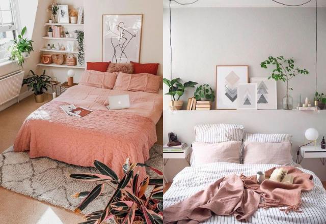 植物摆放有学问!选对植栽让居家空间活化,展现自然清新的亮眼生命力 内容图4 女神网-大潮社TV实时追踪属于女人新资讯的综合网站! 植物摆放有学问!选对植栽让居家空间活化,展现自然清新的亮眼生命力 家庭学堂 图4张