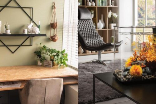 告别死气沉沉的工作氛围！4 个充满活力的疗愈小物，让办公时刻不再枯燥无趣