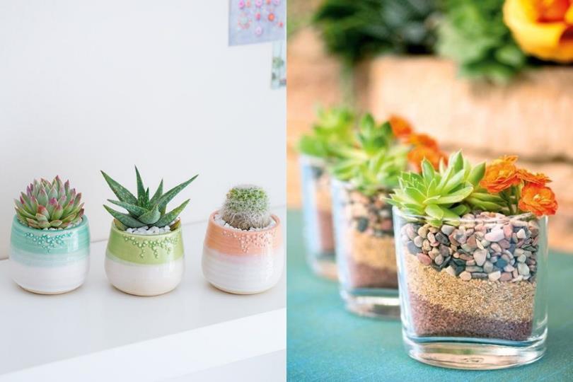 告别死气沉沉的工作氛围!4 个充满活力的疗愈小物,让办公时刻不再枯燥无趣 内容图2 女神网-大潮社TV实时追踪属于女人新资讯的综合网站! 告别死气沉沉的工作氛围!4 个充满活力的疗愈小物,让办公时刻不再枯燥无趣 家庭学堂 图2张