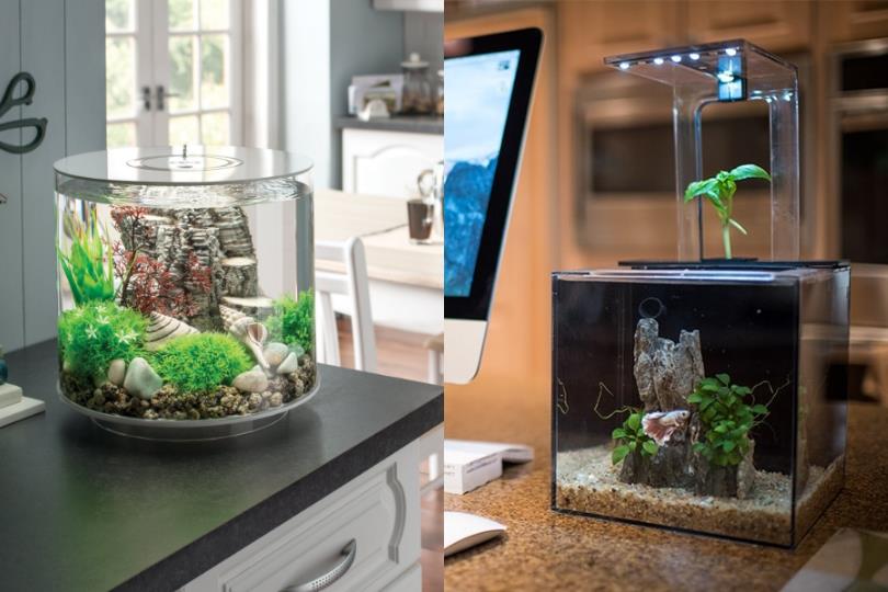 告别死气沉沉的工作氛围!4 个充满活力的疗愈小物,让办公时刻不再枯燥无趣 内容图5 女神网-大潮社TV实时追踪属于女人新资讯的综合网站! 告别死气沉沉的工作氛围!4 个充满活力的疗愈小物,让办公时刻不再枯燥无趣 家庭学堂 图5张