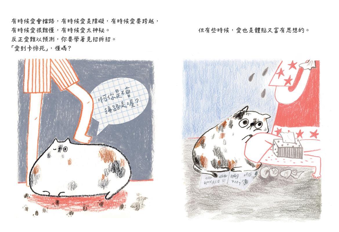 “爱”的万千样貌:绘本世界的猫咪,用它们的不思议魅力道尽人生哲学 内容图5 女神网-大潮社TV实时追踪属于女人新资讯的综合网站! “爱”的万千样貌:绘本世界的猫咪,用它们的不思议魅力道尽人生哲学 家庭学堂 图5张