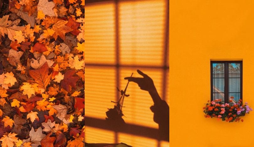 随时随地转换心情!6 色系手机桌布分享:让缤纷的色彩为生活加点新气象 内容图3 女神网-大潮社TV实时追踪属于女人新资讯的综合网站! 随时随地转换心情!6 色系手机桌布分享:让缤纷的色彩为生活加点新气象 家庭学堂 图3张