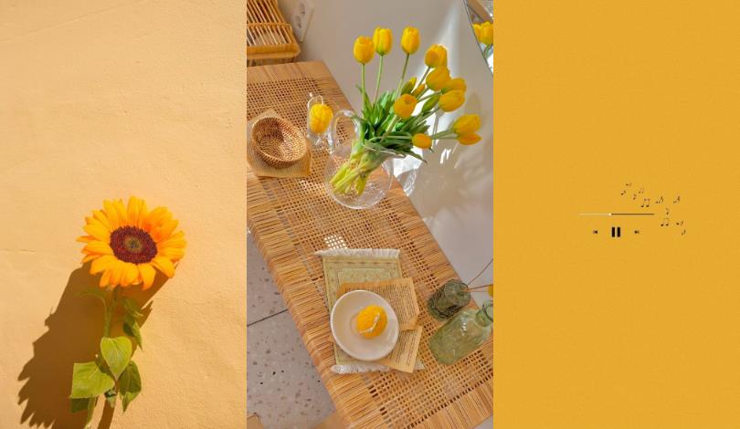 随时随地转换心情!6 色系手机桌布分享:让缤纷的色彩为生活加点新气象 内容图4 女神网-大潮社TV实时追踪属于女人新资讯的综合网站! 随时随地转换心情!6 色系手机桌布分享:让缤纷的色彩为生活加点新气象 家庭学堂 图4张