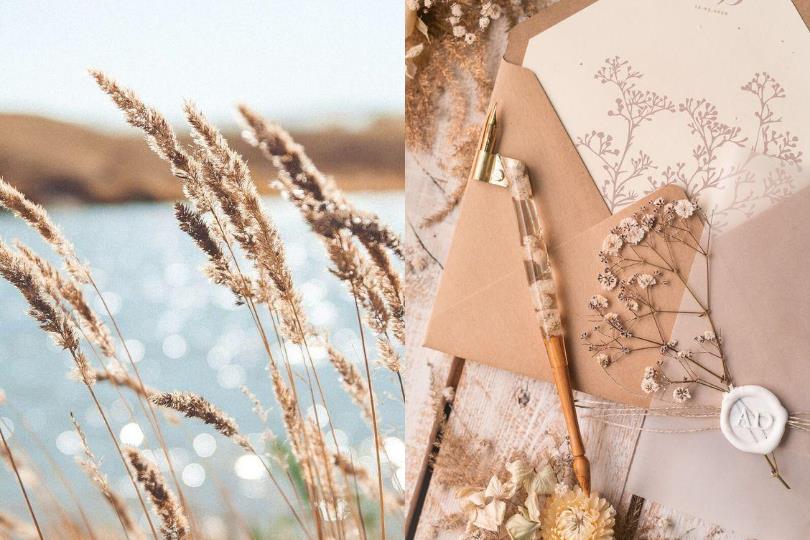 找一款专属自己的心情!20 款手机桌布分享,总有那么一个风格可以代表此刻的自己 内容图6 女神网-大潮社TV实时追踪属于女人新资讯的综合网站! 找一款专属自己的心情!20 款手机桌布分享,总有那么一个风格可以代表此刻的自己 家庭学堂 图6张