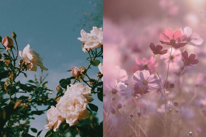 找一款专属自己的心情!20 款手机桌布分享,总有那么一个风格可以代表此刻的自己 内容图10 女神网-大潮社TV实时追踪属于女人新资讯的综合网站! 找一款专属自己的心情!20 款手机桌布分享,总有那么一个风格可以代表此刻的自己 家庭学堂 图10张