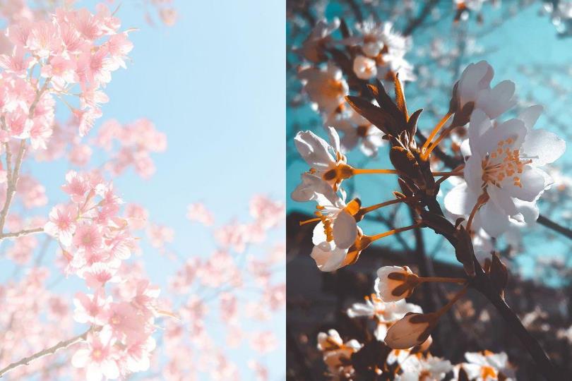 找一款专属自己的心情!20 款手机桌布分享,总有那么一个风格可以代表此刻的自己 内容图11 女神网-大潮社TV实时追踪属于女人新资讯的综合网站! 找一款专属自己的心情!20 款手机桌布分享,总有那么一个风格可以代表此刻的自己 家庭学堂 图11张