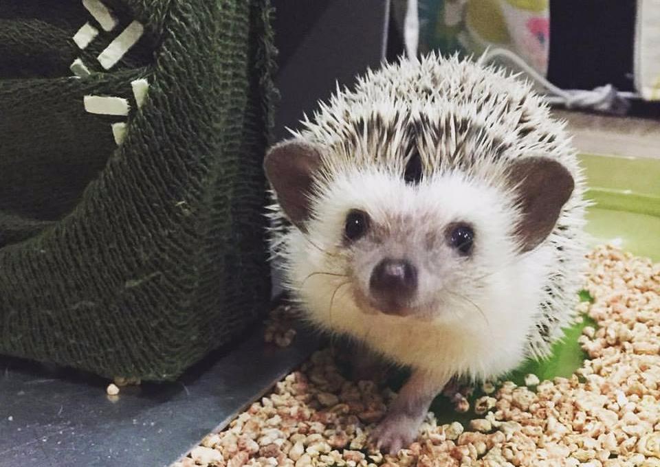 【各行各业的她】家庭主妇创办胶原蛋白品牌 – 露奇亚 Augusta:快乐有活力的女人最美! 内容图4 女神网-大潮社TV实时追踪属于女人新资讯的综合网站! 【各行各业的她】家庭主妇创办胶原蛋白品牌 – 露奇亚 Augusta:快乐有活力的女人最美! 女人观点 图4张