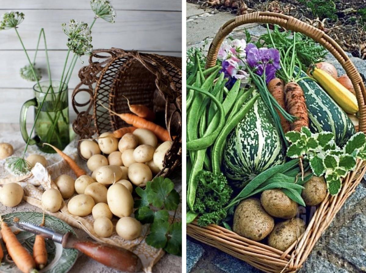 菜价贵森森,台风天抗涨料理5秘诀! 内容图2 女神网-大潮社TV实时追踪属于女人新资讯的综合网站! .jpg