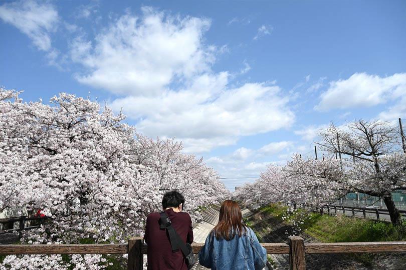 男友说要同居!情侣同住的 6 件注意事项:别让芝麻小事消耗你们的感情 内容图5 女神网-大潮社TV实时追踪属于女人新资讯的综合网站! 男友说要同居!情侣同住的 6 件注意事项:别让芝麻小事消耗你们的感情 女人观点 图5张