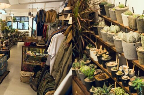 古着 X 多肉植物：香港选品店异业结合，打造从没见过的热门组合