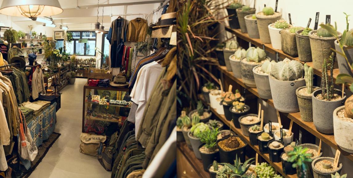 古着 X 多肉植物:香港选品店异业结合,打造从没见过的热门组合 内容图1 女神网-大潮社TV实时追踪属于女人新资讯的综合网站! 古着 X 多肉植物:香港选品店异业结合,打造从没见过的热门组合 专访故事 图1张