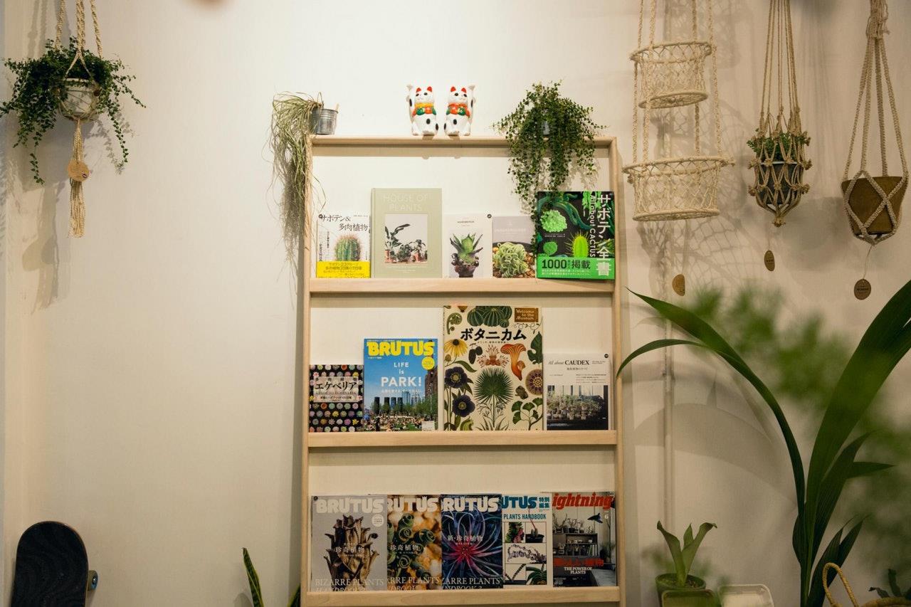 古着 X 多肉植物:香港选品店异业结合,打造从没见过的热门组合 内容图5 女神网-大潮社TV实时追踪属于女人新资讯的综合网站! 8_omy4qQ1Pe_Jv10odlH8HpksL-yL32qFrAK2RawCtk.jpg