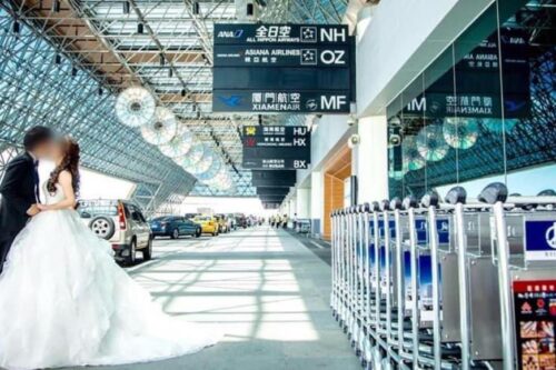 不谈牺牲和失去！飘洋过海，渡部太太在日本找到属于她的幸福“职场”哲学