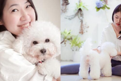 宠物沟通师不是灵媒！Leslie 用“心”与动物对话，传递与毛小孩间真诚的爱