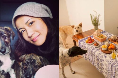 “我喜欢设计，却无法把一辈子都给它！”设计师陈彦姗创立 Paw Kitchen 爱心宠物店，爱己所做