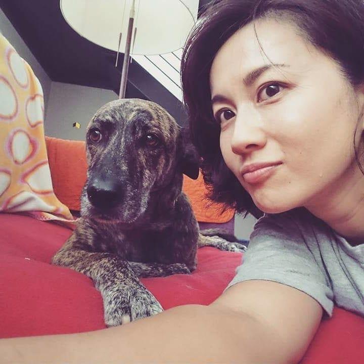 “我喜欢设计,却无法把一辈子都给它!”设计师陈彦姗创立 Paw Kitchen 爱心宠物店,爱己所做 内容图4 女神网-大潮社TV实时追踪属于女人新资讯的综合网站! 67727523_161967218254800_7603773998291185002_n