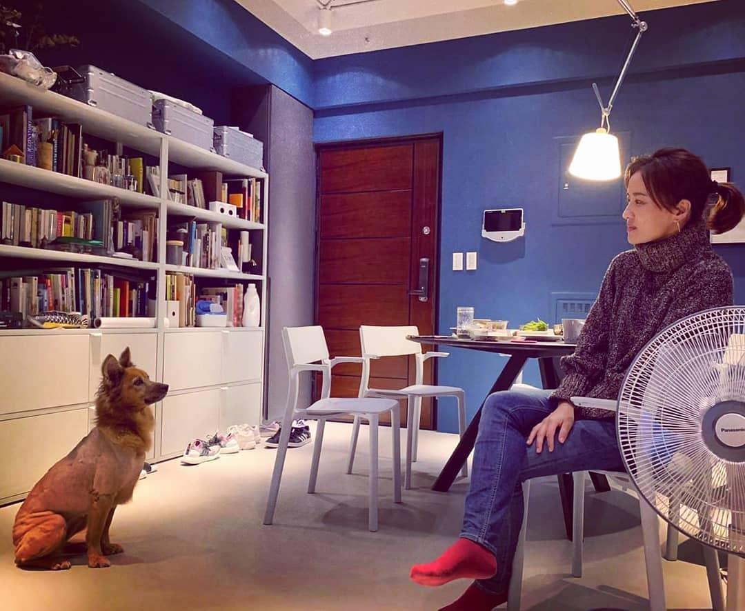 “我喜欢设计,却无法把一辈子都给它!”设计师陈彦姗创立 Paw Kitchen 爱心宠物店,爱己所做 内容图6 女神网-大潮社TV实时追踪属于女人新资讯的综合网站! 51815109_314138962570178_4309584673386058580_n