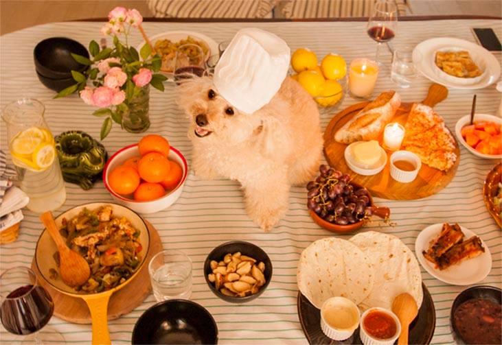 “我喜欢设计,却无法把一辈子都给它!”设计师陈彦姗创立 Paw Kitchen 爱心宠物店,爱己所做 内容图7 女神网-大潮社TV实时追踪属于女人新资讯的综合网站! 14212569_663920780424558_4368791870549018273_n