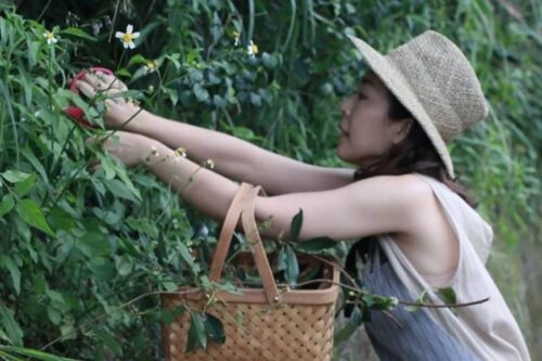 从皮件设计师到植疗花艺师：草肉实堂主理人张苇苇，利用花草温柔唤醒自疗疗人的本能直觉