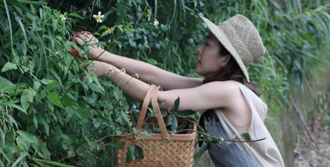 从皮件设计师到植疗花艺师:草肉实堂主理人张苇苇,利用花草温柔唤醒自疗疗人的本能直觉 内容图1 女神网-大潮社TV实时追踪属于女人新资讯的综合网站! 从皮件设计师到植疗花艺师:草肉实堂主理人张苇苇,利用花草温柔唤醒自疗疗人的本能直觉 专访故事 图1张