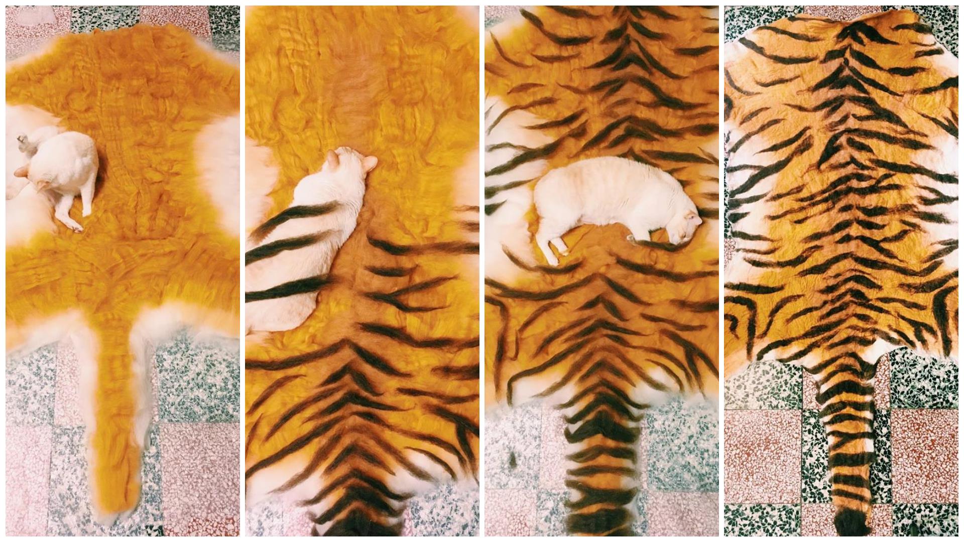 在合理的限度下,兼顾维生和创作!tiger milk 主理人小虎的羊毛毡哲学:“心想事成” 内容图4 女神网-大潮社TV实时追踪属于女人新资讯的综合网站! image5.jpg