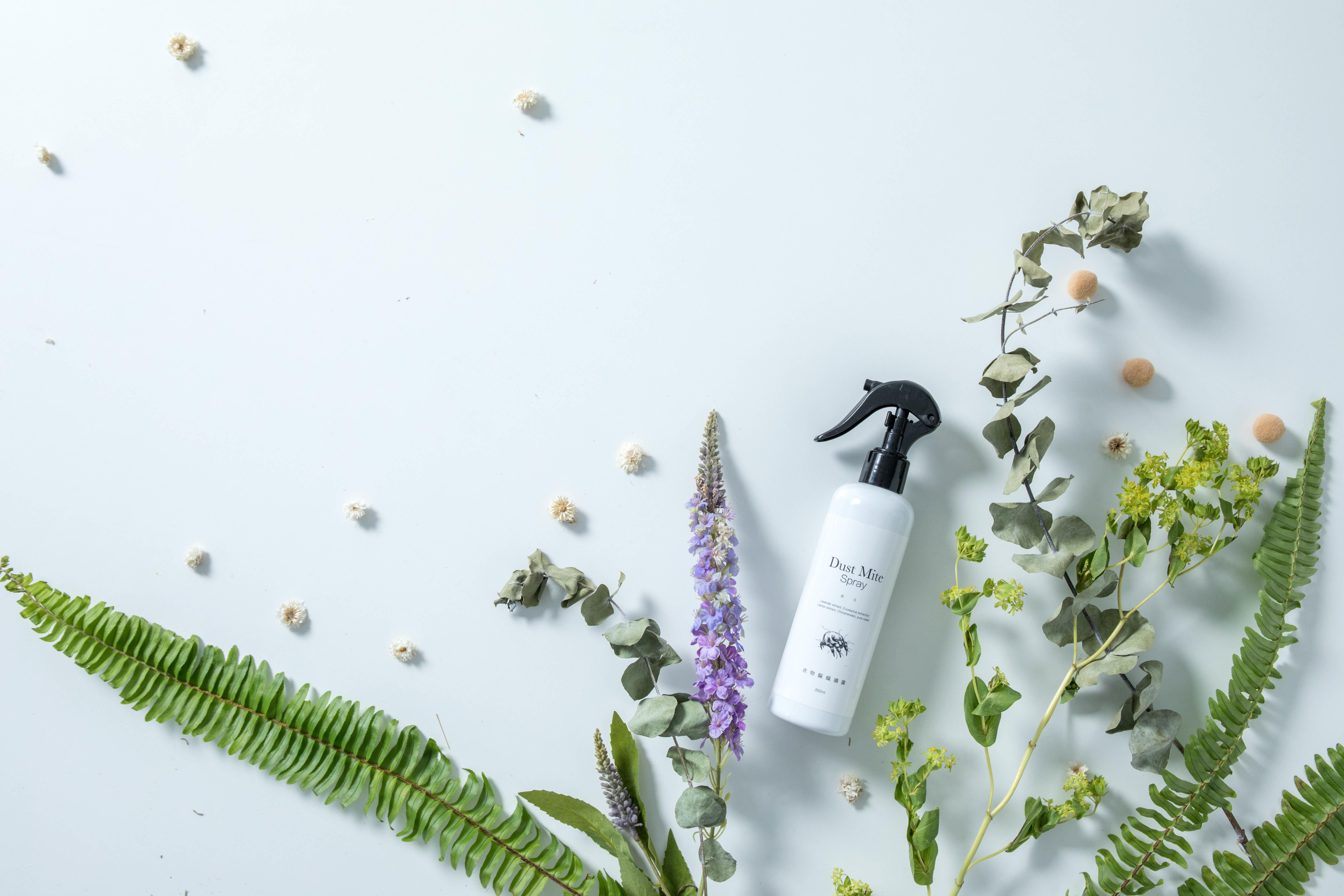 环保是生存的基本意识!净毒五郎创办人郑伊伶坚持无毒、减塑,提供消费者健康无疑的清洁用品 内容图5 女神网-大潮社TV实时追踪属于女人新资讯的综合网站! 环保是生存的基本意识!净毒五郎创办人郑伊伶坚持无毒、减塑,提供消费者健康无疑的清洁用品 专访故事 图5张