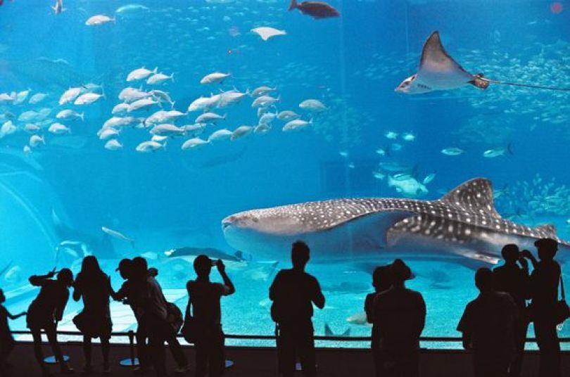 带孩子出国好麻烦？克服 3 大障碍、选对旅游地点，顺利抵达留下美好回忆 愈心灵 图4张