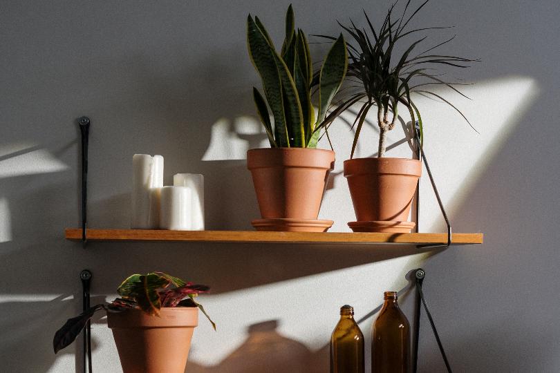 母亲与她的盆栽 —— 和家人处不好的亲子关系，或许我们都尽力了 品观点 图2张