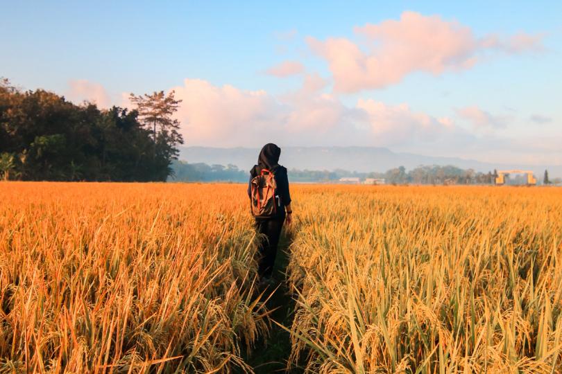 《那些少女没有抵达》:“世界再大,她也只想在蛹里寂静地长眠。” 内容图4 女神网-大潮社TV实时追踪属于女人新资讯的综合网站! 《那些少女没有抵达》:“世界再大,她也只想在蛹里寂静地长眠。” 新学堂 图4张