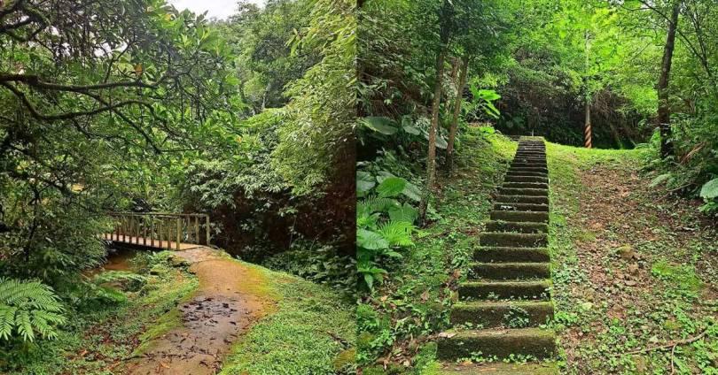 游览 5 条“中国台湾北部登山古道”：从入门款到秘境的踏青新选择 | 女神网 乐生活 图5张