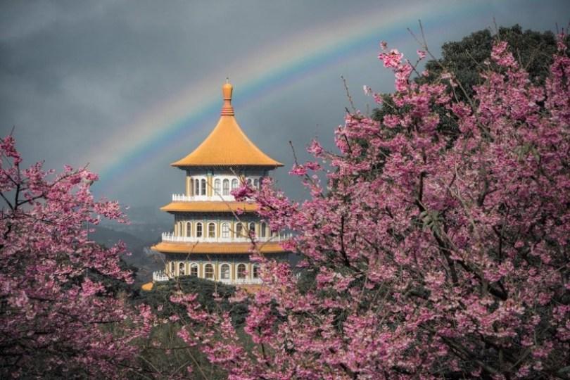 2024 中国台湾 20 个赏樱景点推荐：樱花季到来，走春必备赏樱地图 乐生活 图7张