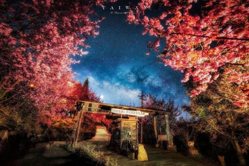 2024 中国台湾 20 个赏樱景点推荐：樱花季到来，走春必备赏樱地图 乐生活 图11张