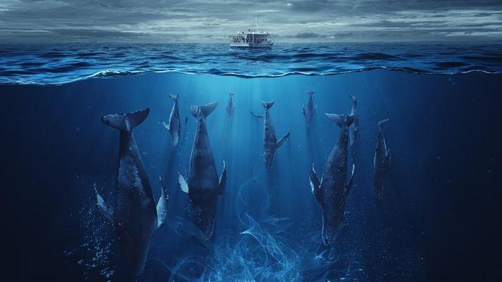 科幻惊悚影集《群 The Swarm》|当人类不再是唯一的高等智慧生物 内容图1 女神网-大潮社TV实时追踪属于女人新资讯的综合网站! 科幻惊悚影集《群 The Swarm》|当人类不再是唯一的高等智慧生物 新学堂 图1张